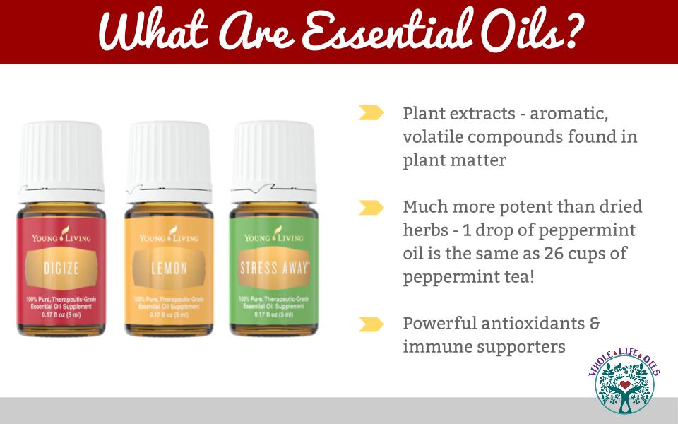 What Exactly Are Essential Oils and How do They Help Our Bodies?