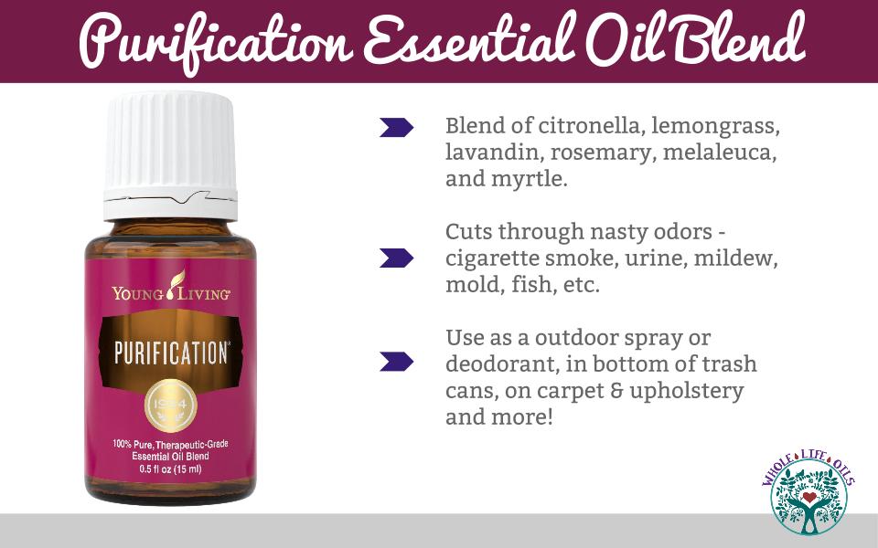 All About Purification Essential Oil Blend