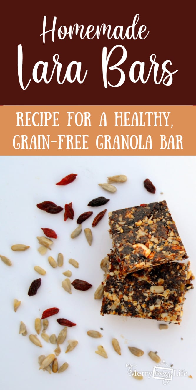 Homemade Lara Bars - Healthy Copy Cat Recipe that's grain free and loaded with nutrition