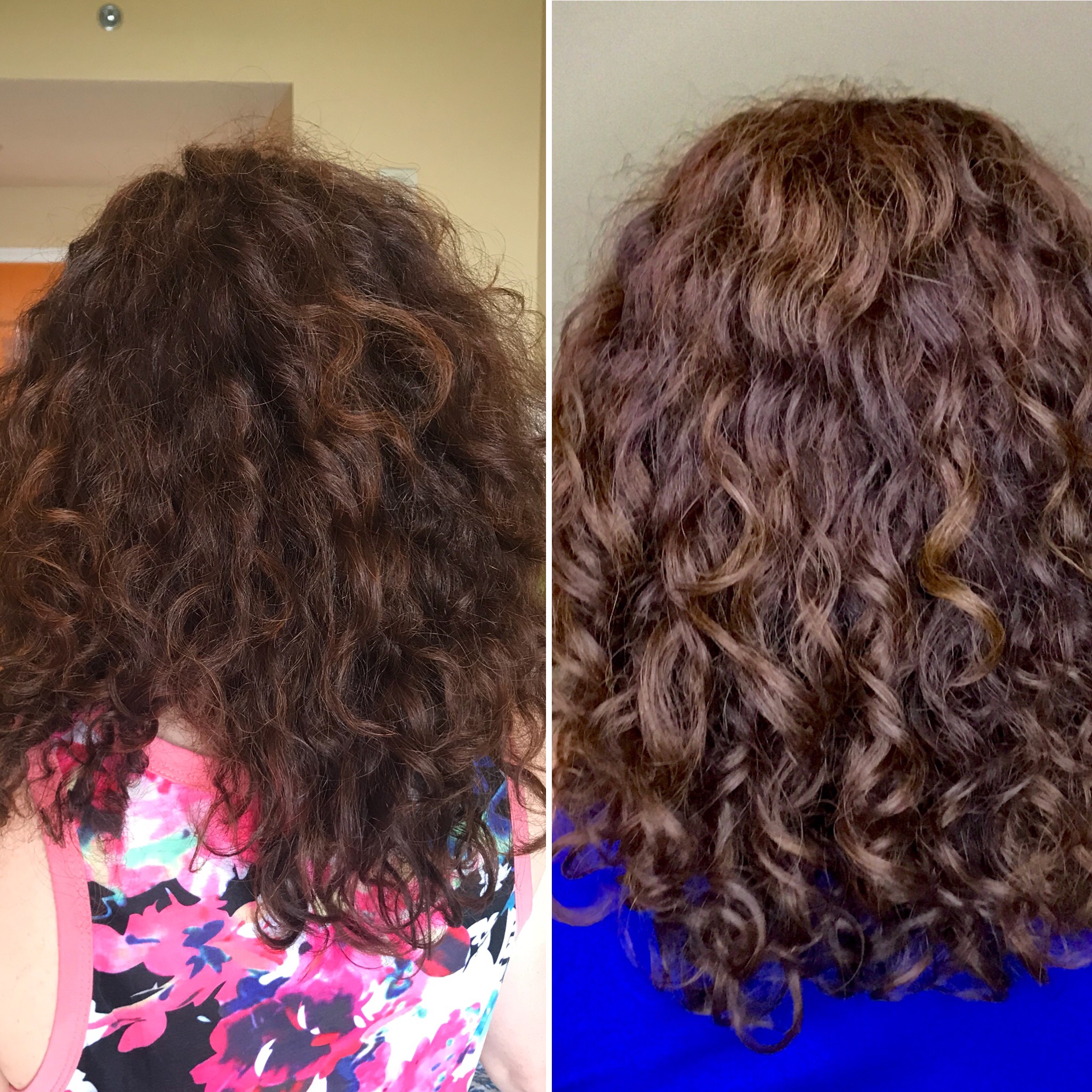 The difference some protein treatments and the curly girl method can make!