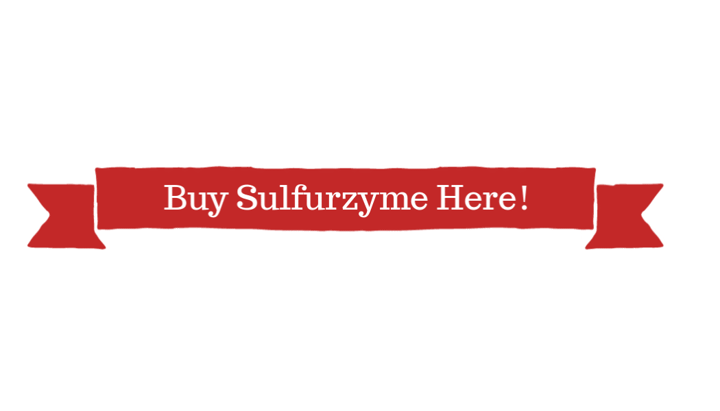 Sulfurzyme