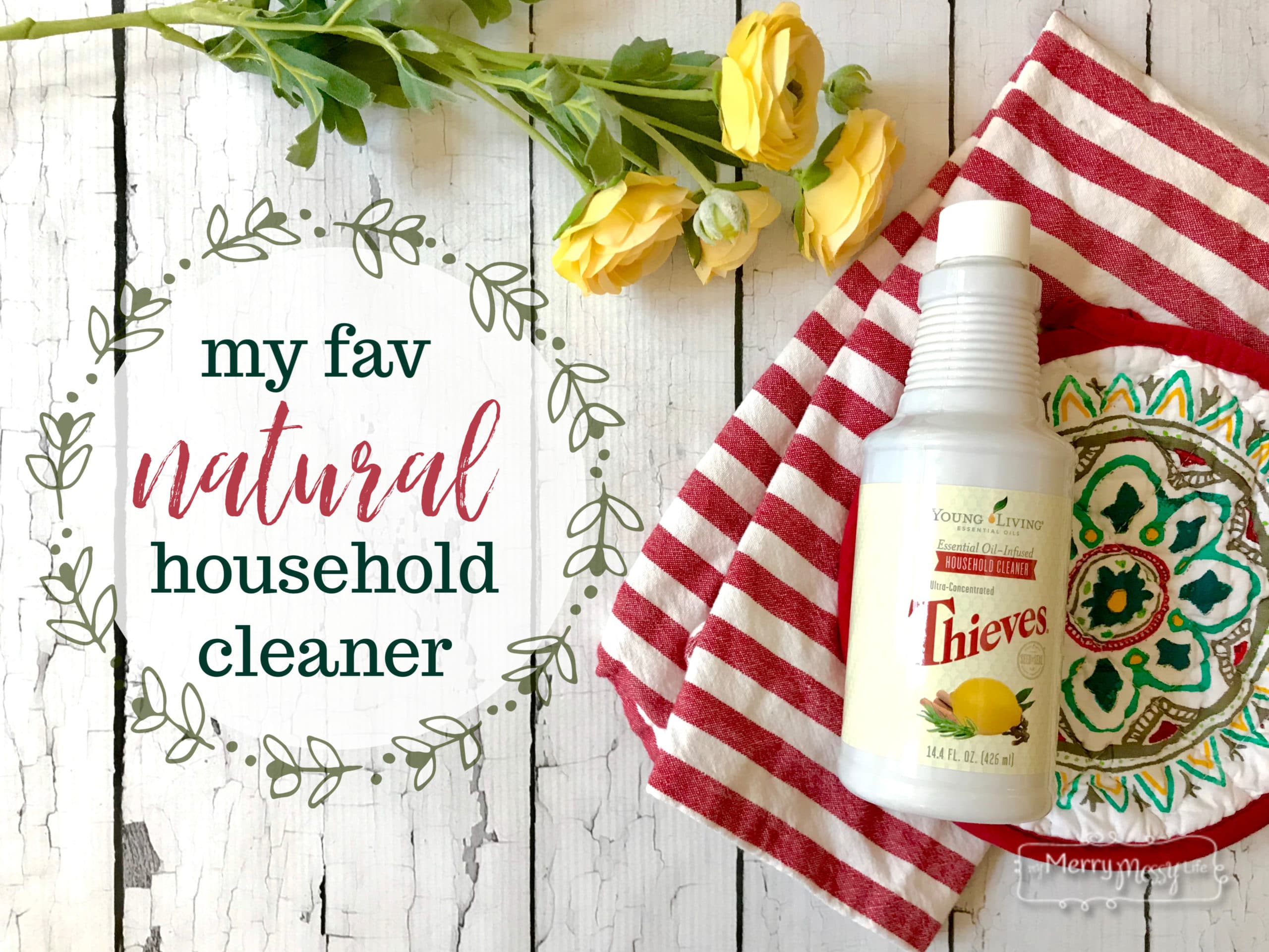 My Favorite Natural Household Cleaner and 25 Ways to Use It