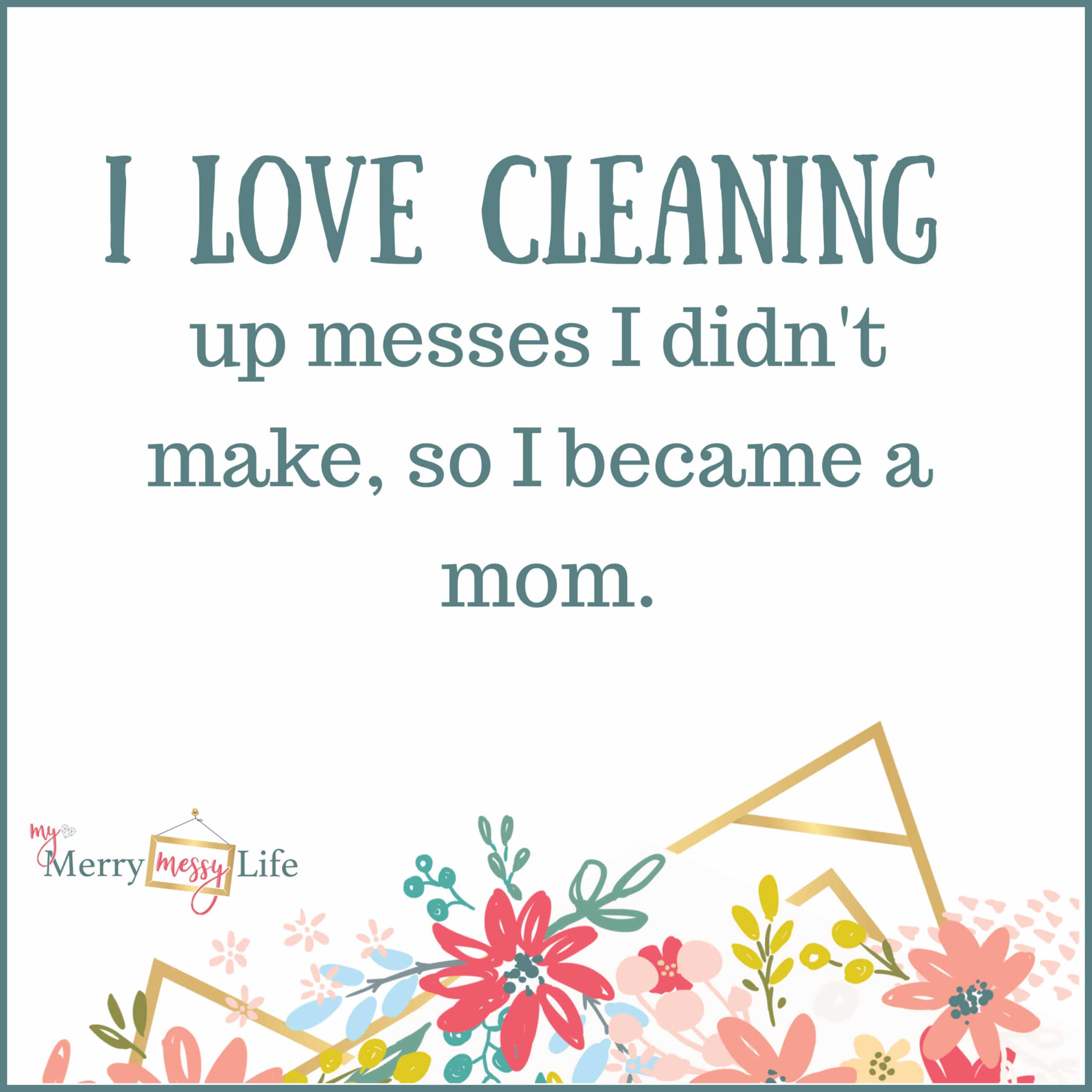 I love cleaning up messes I didn't make so I became a mom. Funny Mom Memes