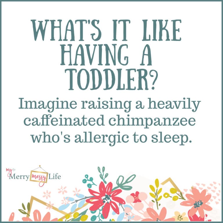 Funny Mom Memes about Toddlers