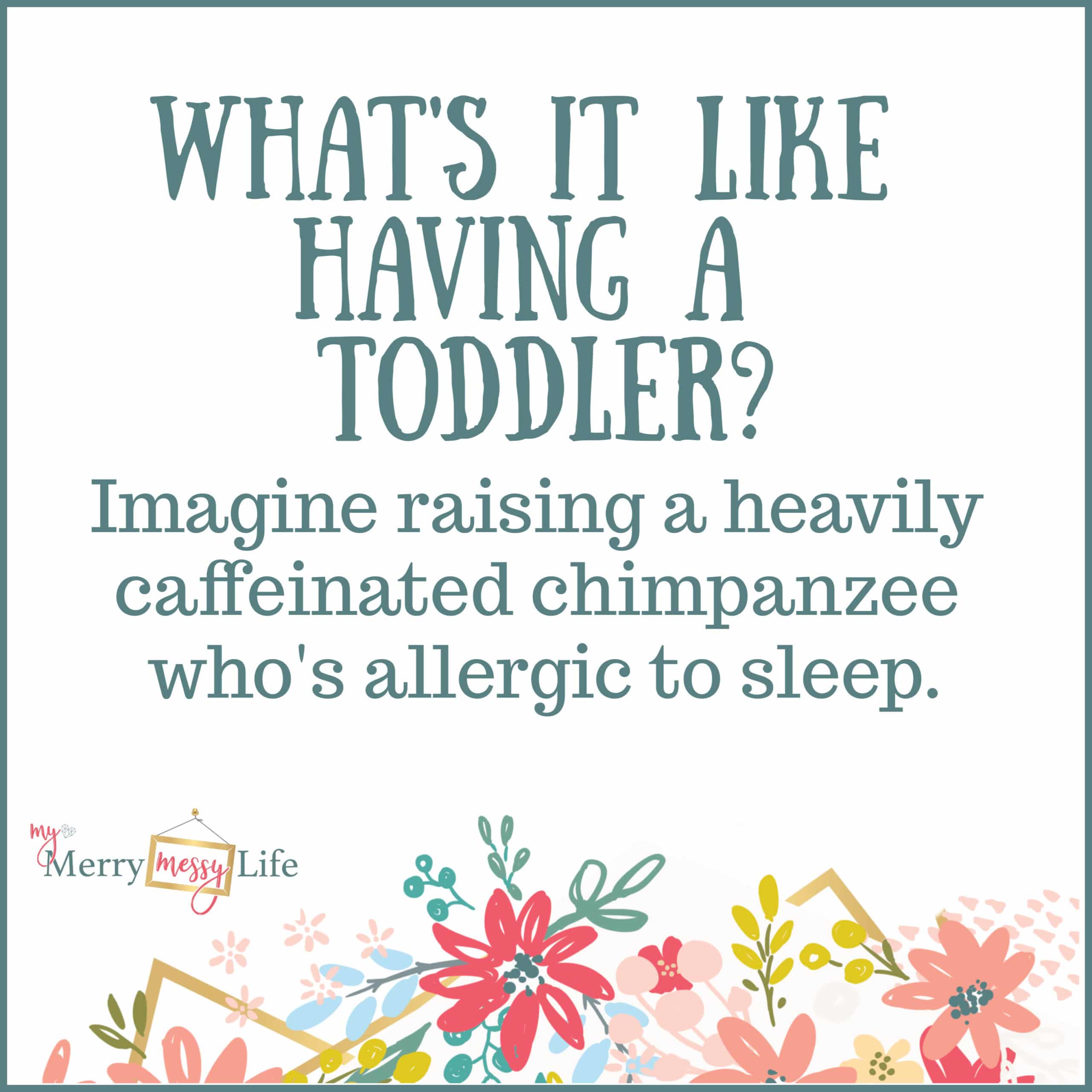 What's it like having a toddler? Imagine raising a heavily caffeinated chimpanzee who's allergic to sleep. Funny Mom Memes about Toddlers