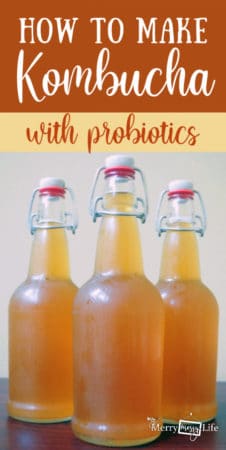 How to Make Your Own Kombucha Tea At Home – My Merry Messy Life