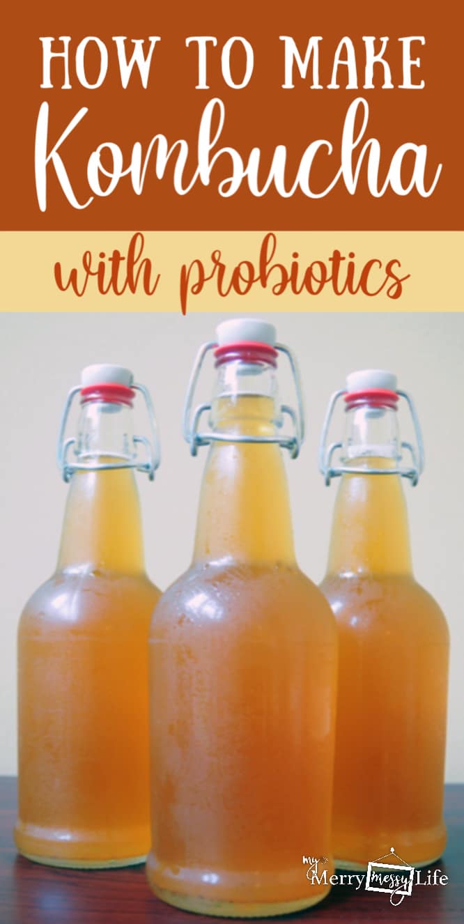 How to Make Kombucha Tea at home that's full of probiotics and amazing for your gut health!
