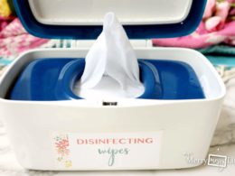 Homemade Reusable Bathroom Cleaning Wipes
