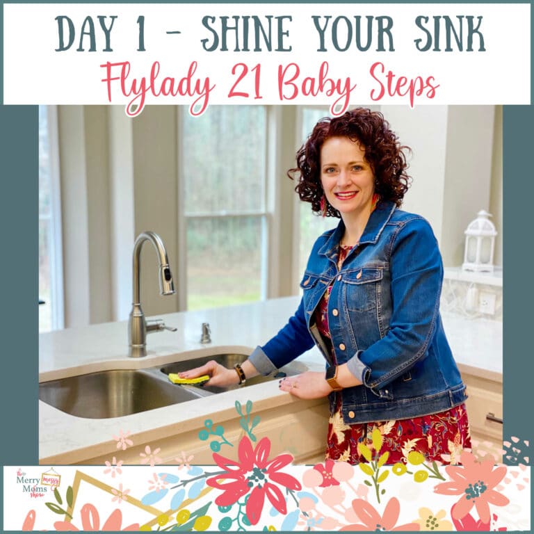 Day 1 – Shine Your Kitchen Sink