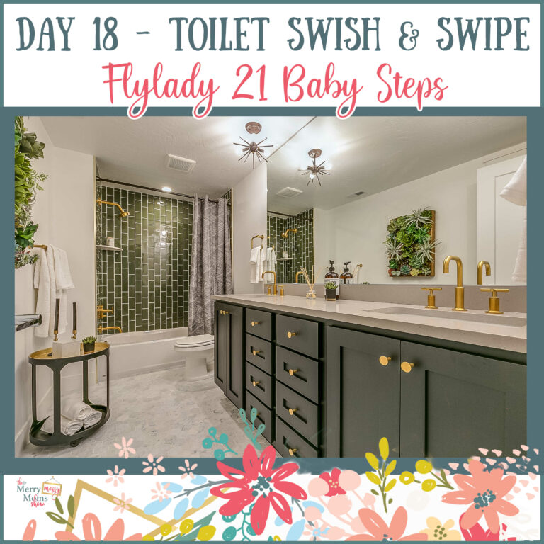 Day 18 – Swish and Swipe a Toilet